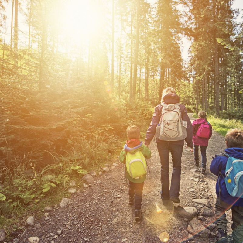 Приглашаем на курсы повышения квалификации «Руководитель туристского похода»