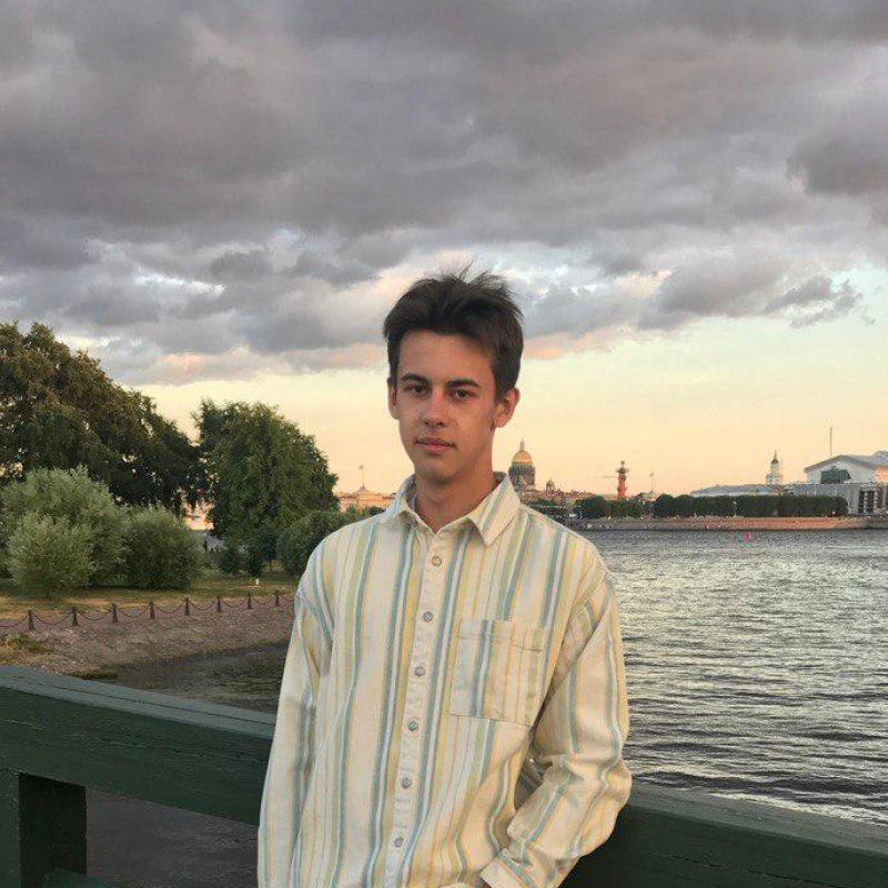 Нижегородский школьник разработал технологию выявления и лечения панкреатита