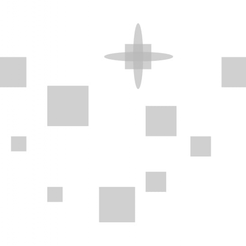 Просветительские игры «Новое Знание»